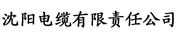 香蕉网免费1级a做爰片电缆厂logo